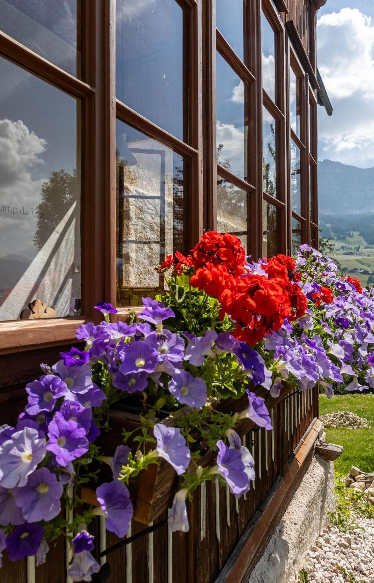 Agriturismo Maso Runch Badia  Bagian luar foto